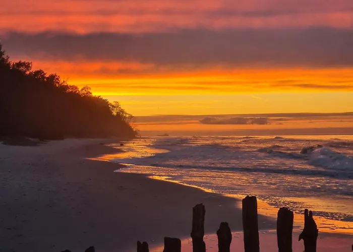 By The Way - Nad Morzem Paprotno